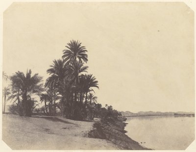  بواسطة جون بيسلي غرين
