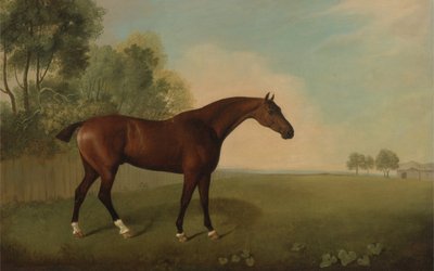 حصان خليج في حقل 1778 بواسطة John Boultbee