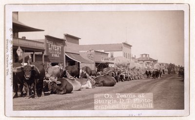 فرق Ox في Sturgis ، DT ، حانة 1887 - 1892 (صورة) بواسطة جون سي جرابيل