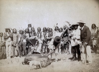 لحم البقر ، 1891 بواسطة جون سي جرابيل