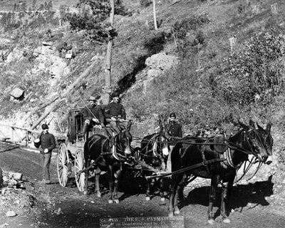 المسؤول عن الرواتب والحرس في الولايات المتحدة على طريق ديدوود إلى فورت. ميد ، 1888 بواسطة جون سي جرابيل