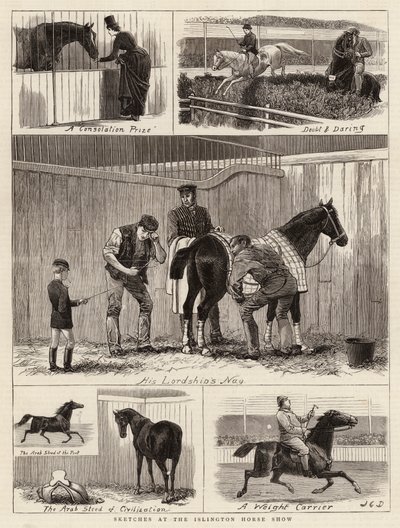 اسكتشات في عرض Islington Horse بواسطة John Charles Dollman