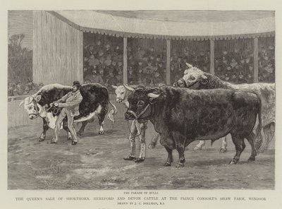 بيع الملكة لماشية Shorthorn و Hereford و Devon في مزرعة Shaw Consort&39;s Shaw ، Windsor بواسطة John Charles Dollman