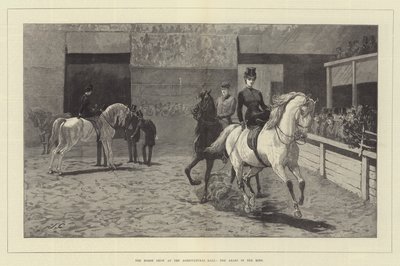 معرض الخيول بالقاعة الزراعية العرب في الحلبة بواسطة John Charlton