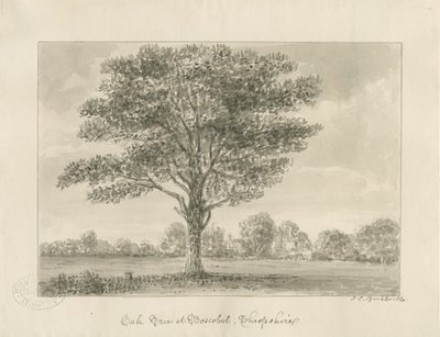 Boscobel - The Royal Oak: رسم بني داكن ، 1820 بواسطة جون شيسيل بكلر