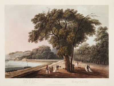 St Cloud ، The Great Walk of St Cloud ، The Bridge of Sevres ، إلخ. ، التوضيح من فرساي وباريس وسانت دينيس ، حانة. 1805 (أكواتينت) بواسطة جون كلود ناتس
