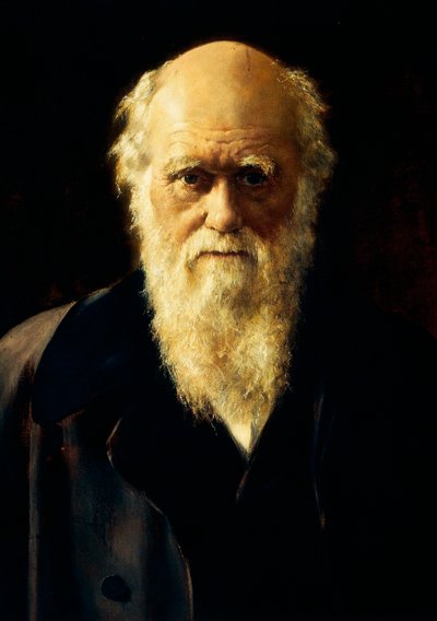 Portrait of Charles Darwin بواسطة جون كولير