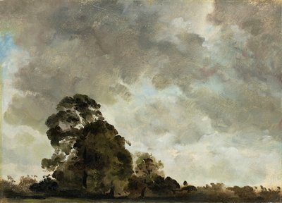 منظر طبيعي في Hampstead ، Tree and Storm Clouds ، c.1821 (زيت على ورق موضوع على لوحة) بواسطة جون كونستابل