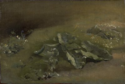 دراسة الأرقطيون ، c.1810-14 أو c.1828 بواسطة جون كونستابل