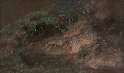 شجيرة ، كاليفورنيا. 1821. بواسطة جون كونستابل