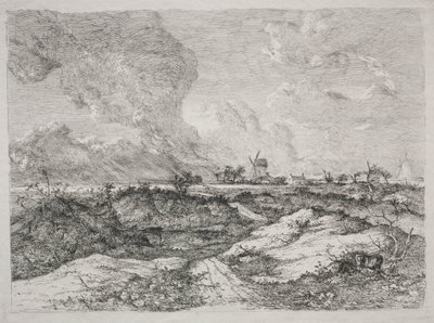 Mousehold هيث ، ج. 1810-13. بواسطة جون كروم