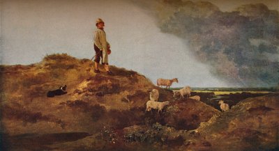 نظرة على Mousehold Heath ، بالقرب من نورويتش ، c1812. بواسطة جون كروم