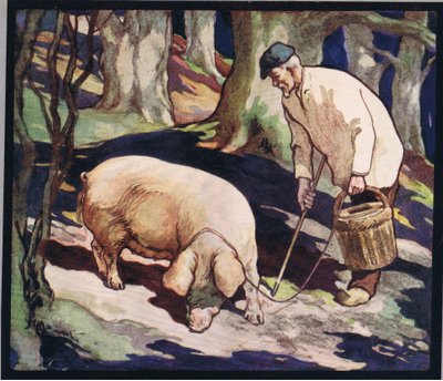 خنزير يبحث عن الكمأ ، رسم توضيحي من "Helpers Without Hands" بقلم غلاديس ديفيدسون ، نُشر عام 1919 (ليثو ملون) بواسطة جون إدوين نوبل