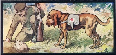 Ambuland bloodhound ، رسم توضيحي من `` Helpers Without Hands 