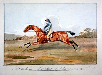 فيلم "Lurcher" للسيد ويلسون بواسطة Dungannon بواسطة جون إيمري