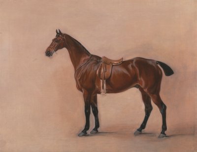 دراسة صياد خليج سادل بواسطة John Ferneley
