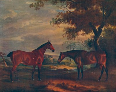 صياد يوركشاير في غراس ، c1840 ، 1922 بواسطة جون فرنلي