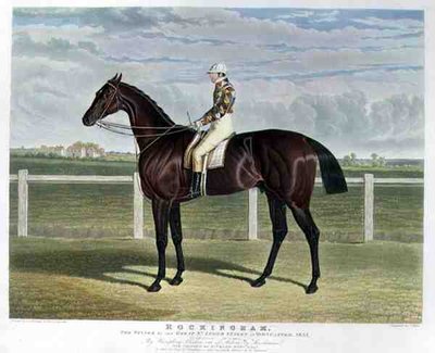 "Rockingham" ، الفائز بسباق Great St. Leger Stakes في دونكاستر بواسطة جون فريدريك هيرينج الأب