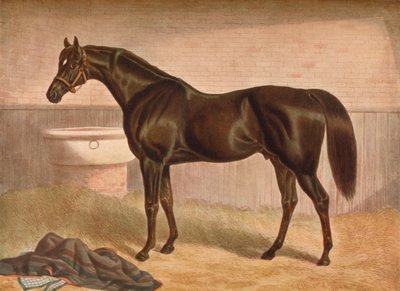 المصارع ، القرن التاسع عشر ، 1903 بواسطة جون فريدريك هيرينج آي.