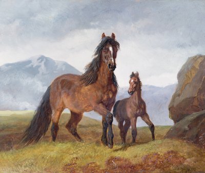 A Mountain Welsh Mountain Mare and Foal، 1854 (لوحة) بواسطة جون فريدريك هيرينج الأب
