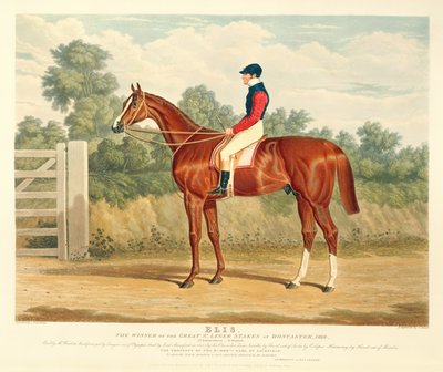 "إليس" ، الفائز بسباق سانت ليجر الكبير في دونكاستر ، 1836 ، نقشها شارل هانت (1803-77) ، حانة. بواسطة S. und J. Fuller، 1836 (aquatint) بواسطة جون فريدريك هيرينج الأب
