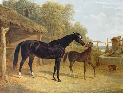 ليفيتي ، ملكية JCCockerill Esq. ، مع مهرها الملكة إليزابيث ، ملك اللورد دورشيستر ، 1843 بواسطة جون فريدريك هيرينج الأب