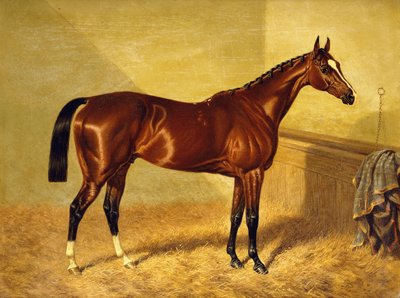 أورلاندو ، خليج Racehorse في Loosebox ، 1845 بواسطة جون فريدريك هيرينج الأب