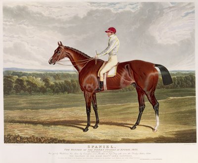 `` Spaniel &39;&39; ، الفائز بسباق ديربي ستيكس في إبسوم ، 1831 ، منقوش على يد تشارلز هانت (1803-77) ، حانة. بواسطة S. und J. Fuller، 1831 (aquatint) بواسطة جون فريدريك هيرينج الأب