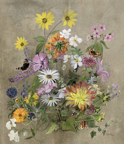 زهور الصيف بواسطة John Gubbins