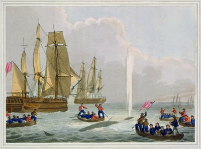 قوارب تقترب من الحوت ، نقشها ماثيو دوبورج (fl.1785-1820) ، نشرها إدوارد أورم ، 1813 بواسطة جون هيفيسايد كلارك