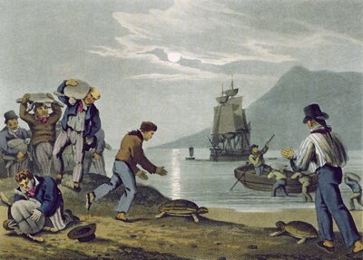 صيد السلحفاة على الأرض ، منقوش من قبل ماثيو دوبورج (fl.1785-1820) ، نشره إدوارد أورم ، 1813 بواسطة جون هيفيسايد كلارك