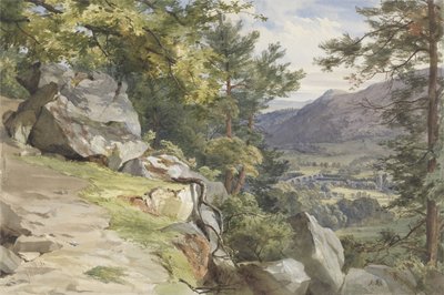 منظر لـ Craig-y-Barns ، Dunkeld ، المظهر الجنوبي ، 1855 (مرحاض ولون جسم على ورق) بواسطة جون هنري مول