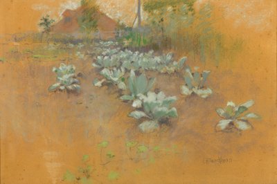 رقعة التبغ ، 1895-1899 (باستيل على ورق بني) بواسطة جون هنري تواكتمان
