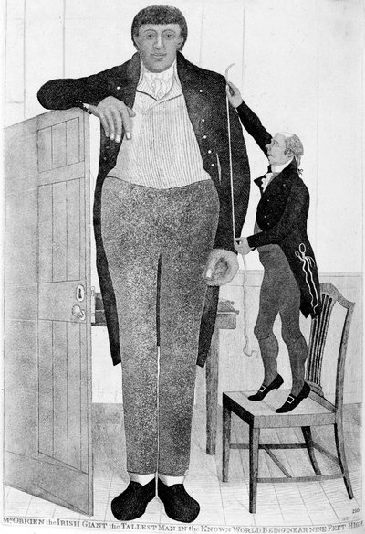 السيد OBrien ، العملاق الأيرلندي ، أطول رجل في العالم المعروف ، 1803. بواسطة جون كاي