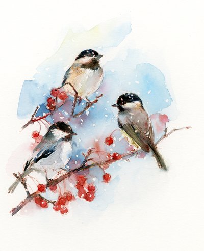 Chickadees مع التوت ، 2017 ، (ألوان مائية) بواسطة جون كيلينغ