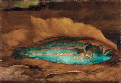 دراسة أسماك الببغاء ، ساموا ، 1890 بواسطة جون لا فارج أو لافارج
