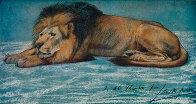 دراسة باستيل للأسد ، c1900 بواسطة جون ماكالان سوان