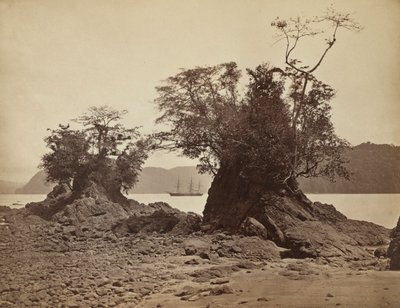 جزر في خليج ليمون 1871. بواسطة جون موران