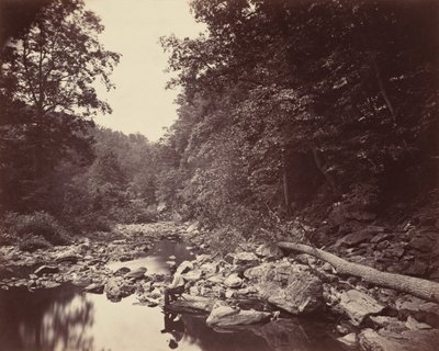 ال Wissahickon Creek بالقرب من فيلادلفيا ، ج. 1863. بواسطة جون موران