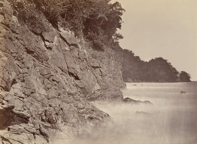 مشهد استوائي ، كليف - ليمون باي ، 1871. بواسطة جون موران