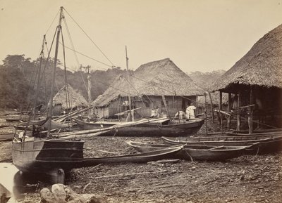 مشهد استوائي ، هبوط ، تشيبيجانا ، 1871. بواسطة جون موران