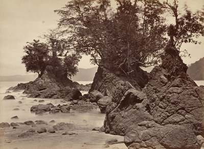 المشهد الاستوائي ، خليج ليمون - المد والجزر ، 1871. بواسطة جون موران