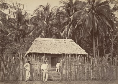 مشهد استوائي ، Native Hut ، توربو ، 1871. بواسطة جون موران