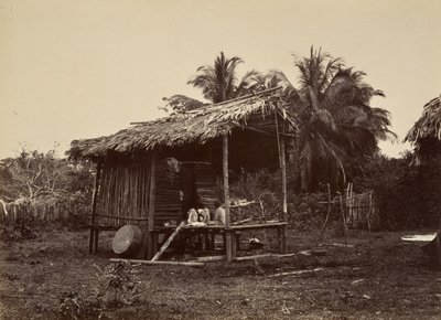 مشهد استوائي ، Native Hut ، توربو ، 1871. بواسطة جون موران