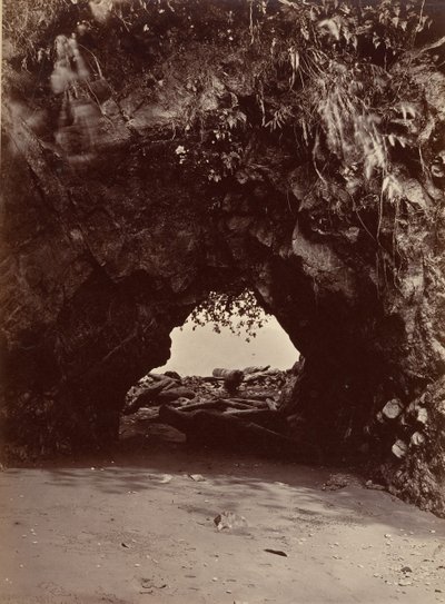 مشهد استوائي ، القوس الطبيعي ، خليج كوبيكا ، 1871. بواسطة جون موران