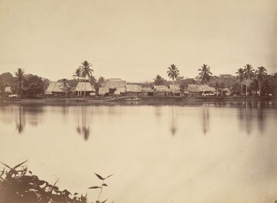 مشهد استوائي ، سانتا ماريا ديل ريال ، دارين ، 1871. بواسطة جون موران