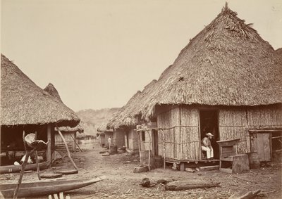 مشهد استوائي ، شارع ، تشيبيجانا ، 1871. بواسطة جون موران