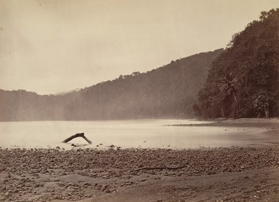 مشهد استوائي ، نهاية القناة المقترحة ، خليج ليمون ، 1871. بواسطة جون موران