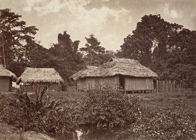 مشهد استوائي ، قرية توربو ، 1871. بواسطة جون موران