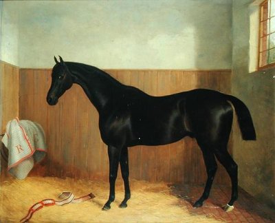تومي ، صورة حصان ، حوالي 1870 (زيت على قماش) بواسطة جون بول